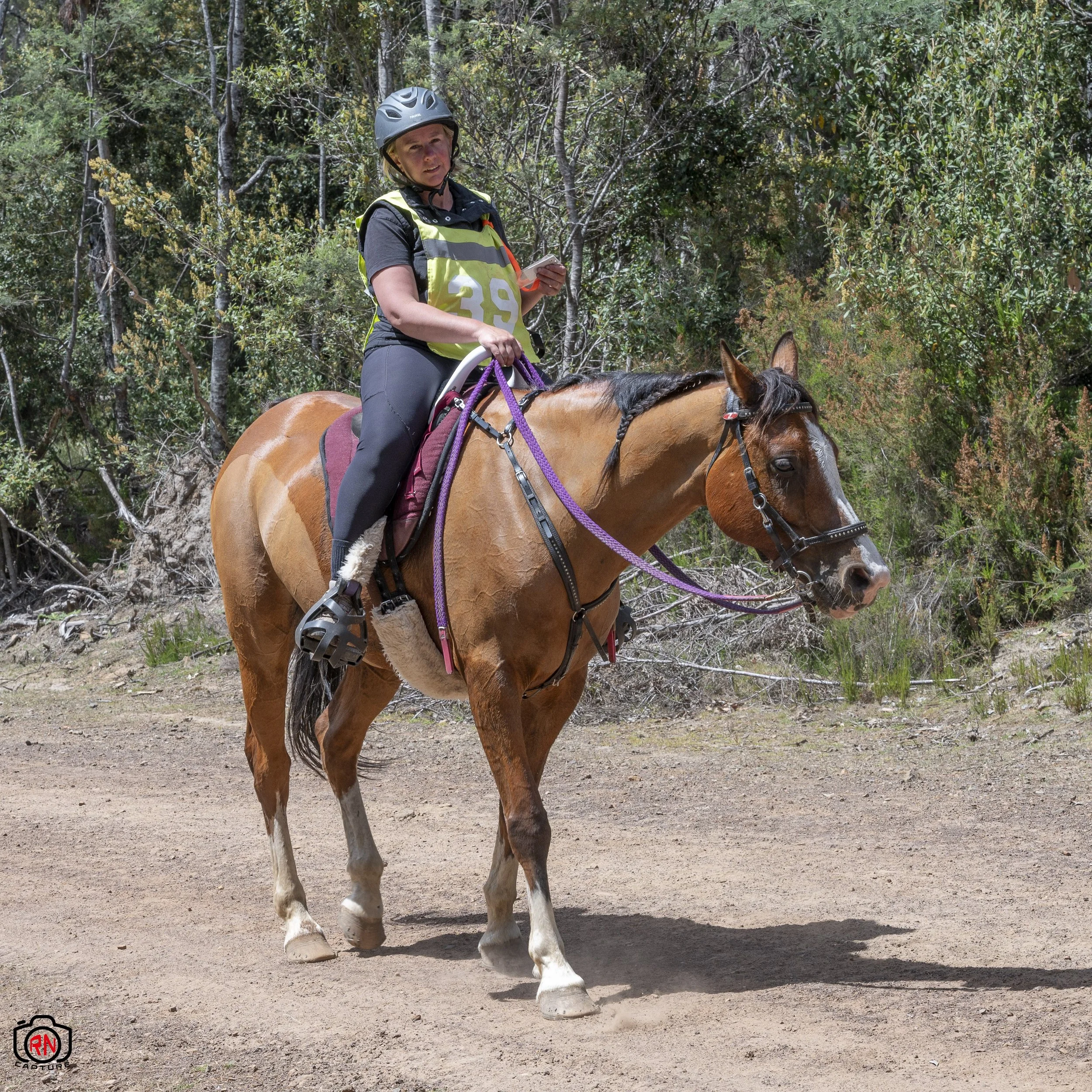 StateChampionships -Endurance Riding — Roger Nichols' Photos and Other ...