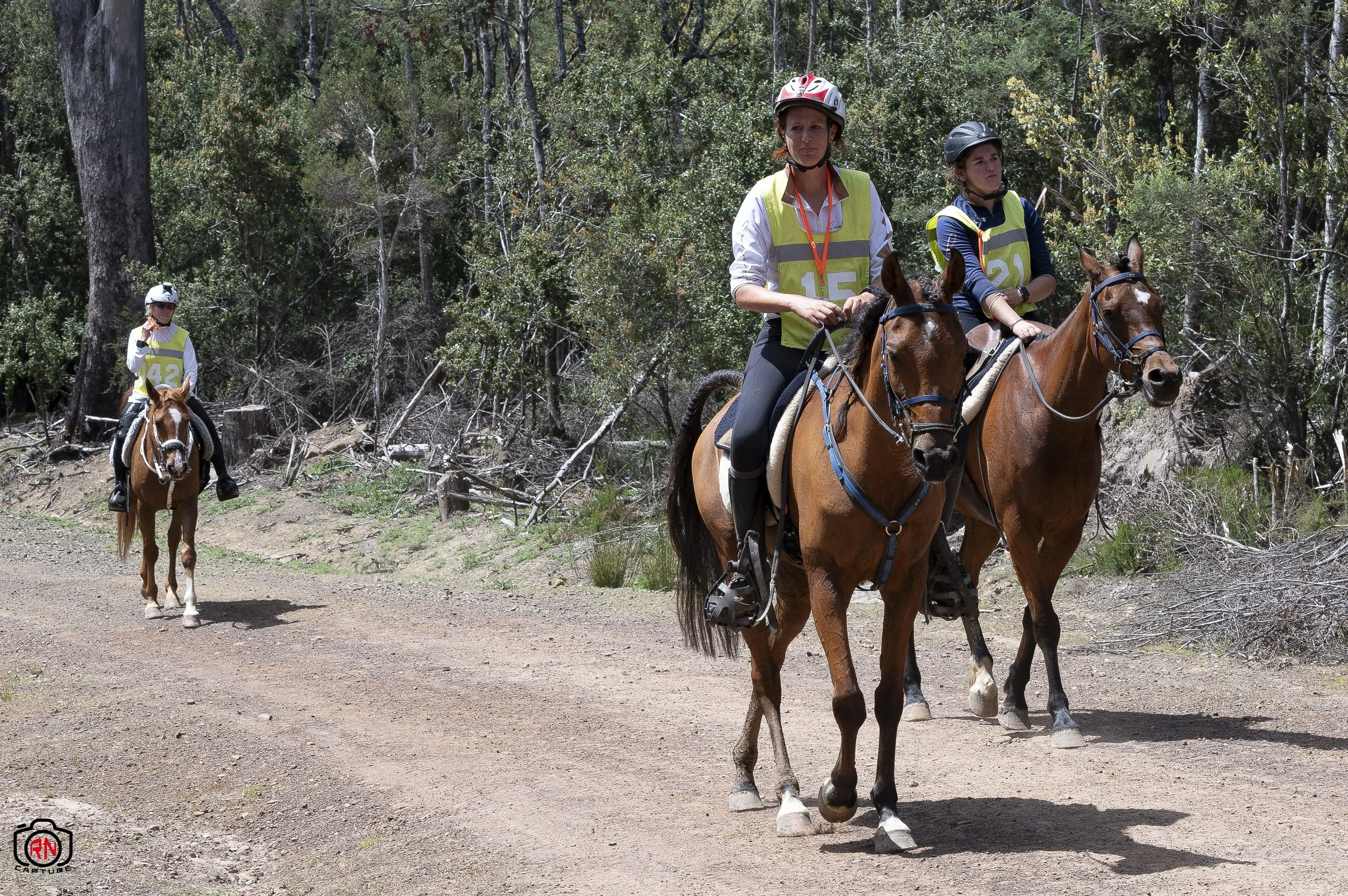 StateChampionships -Endurance Riding — Roger Nichols' Photos and Other ...