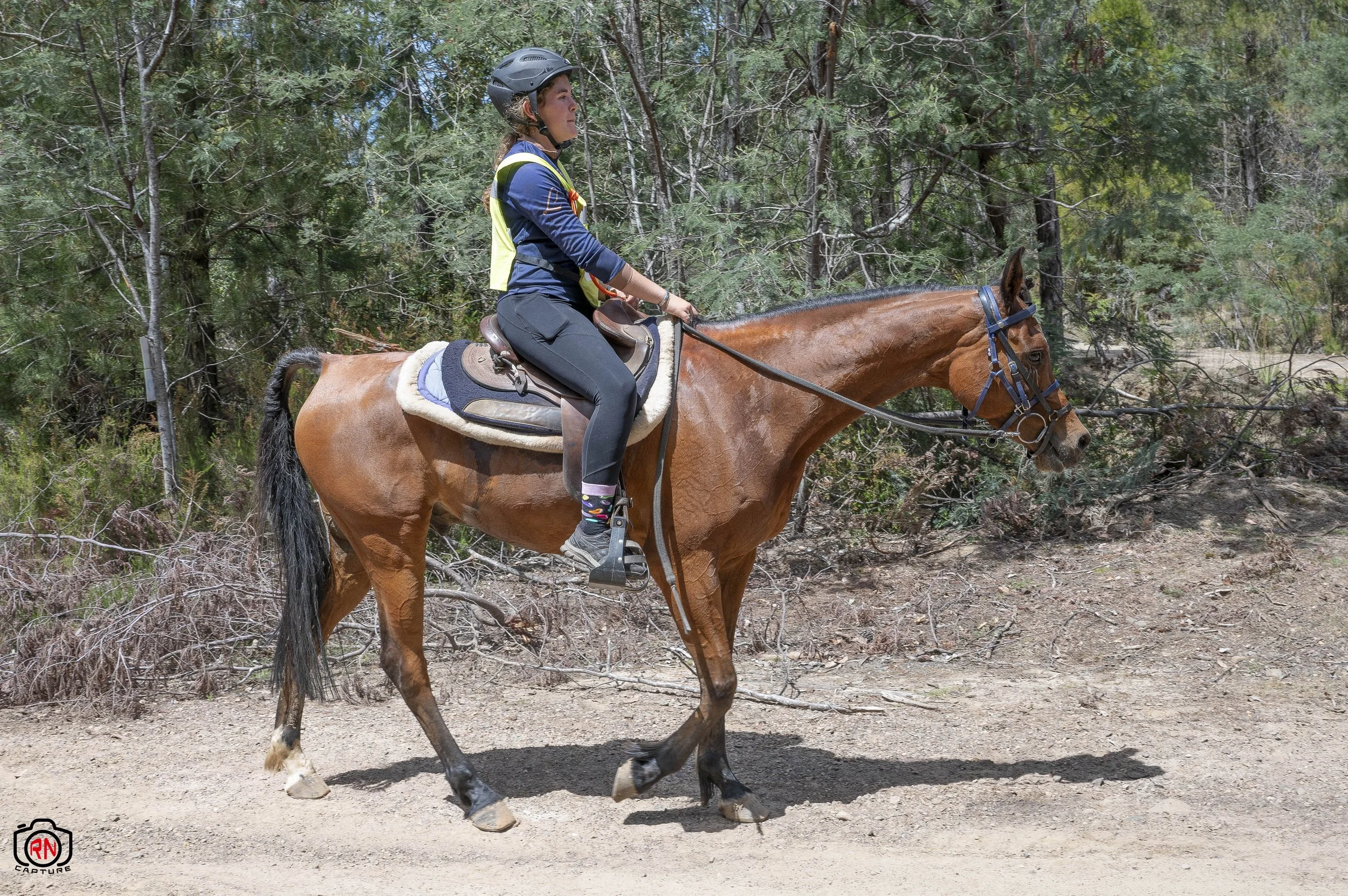 StateChampionships -Endurance Riding — Roger Nichols' Photos and Other ...