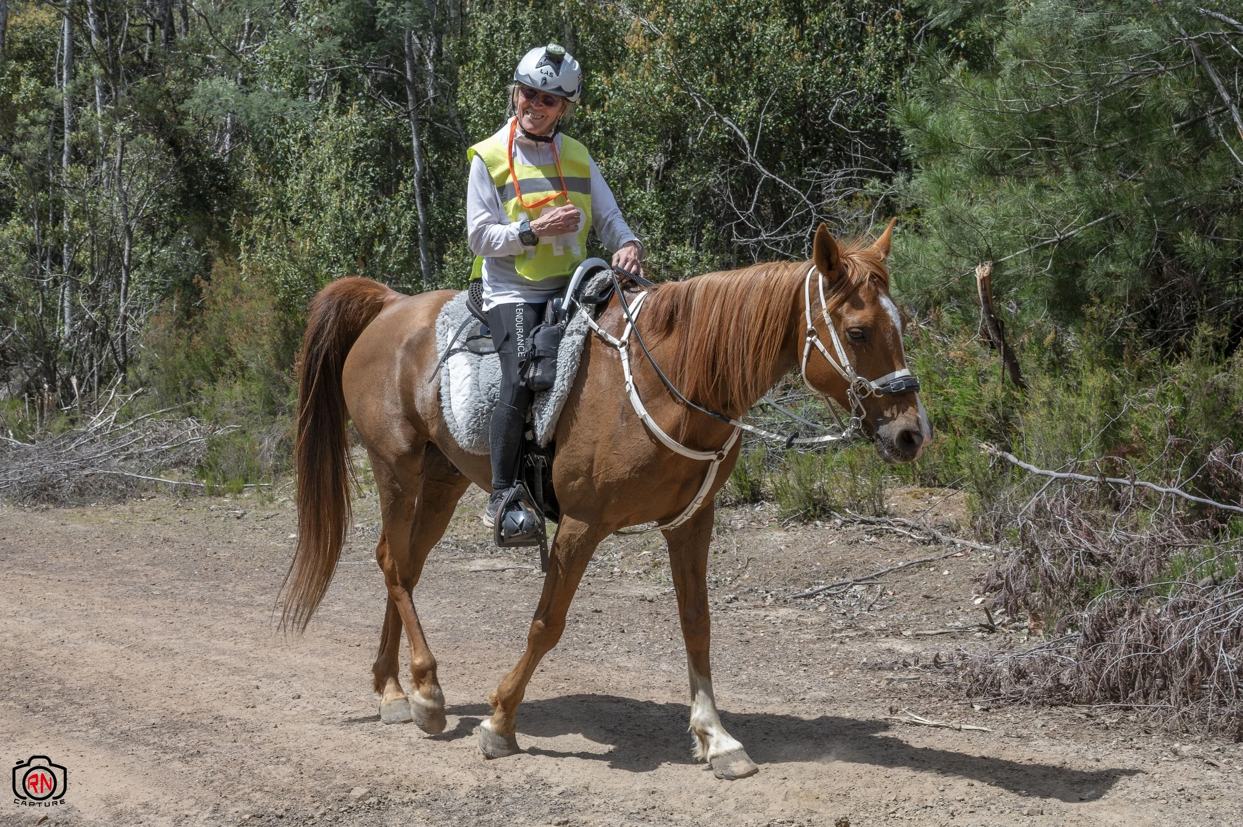 StateChampionships -Endurance Riding — Roger Nichols' Photos and Other ...