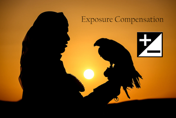 Exposure Compensation (Bias) - Photography Life - ARTICLE