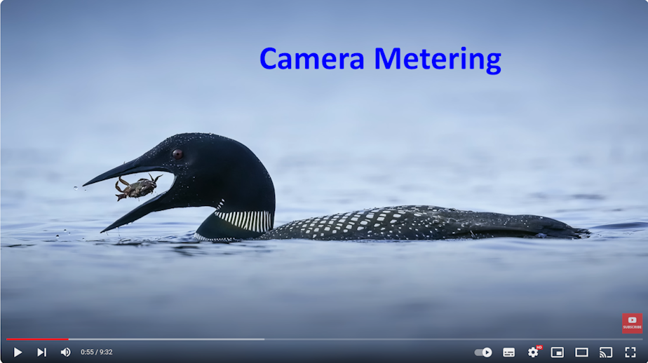 Camera Metering - Simon Dentremont - VIDEO