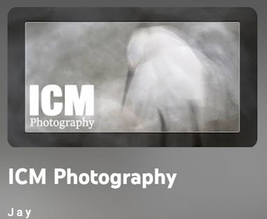 ICM - 11 videos - Jay