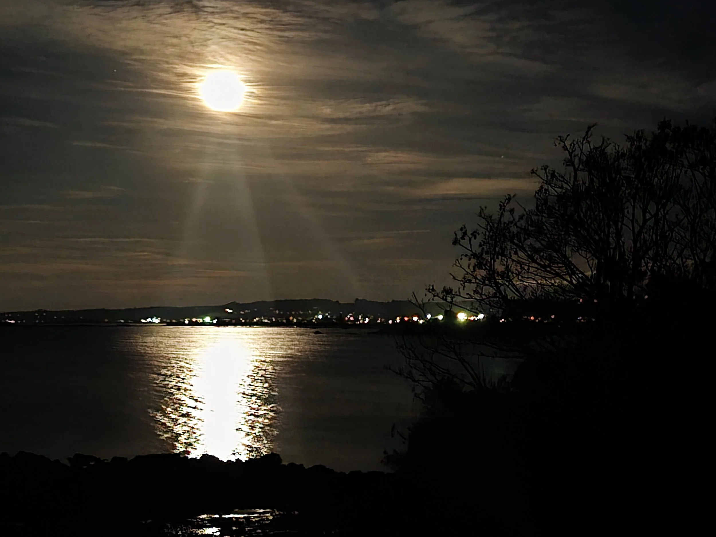 Penguin moon