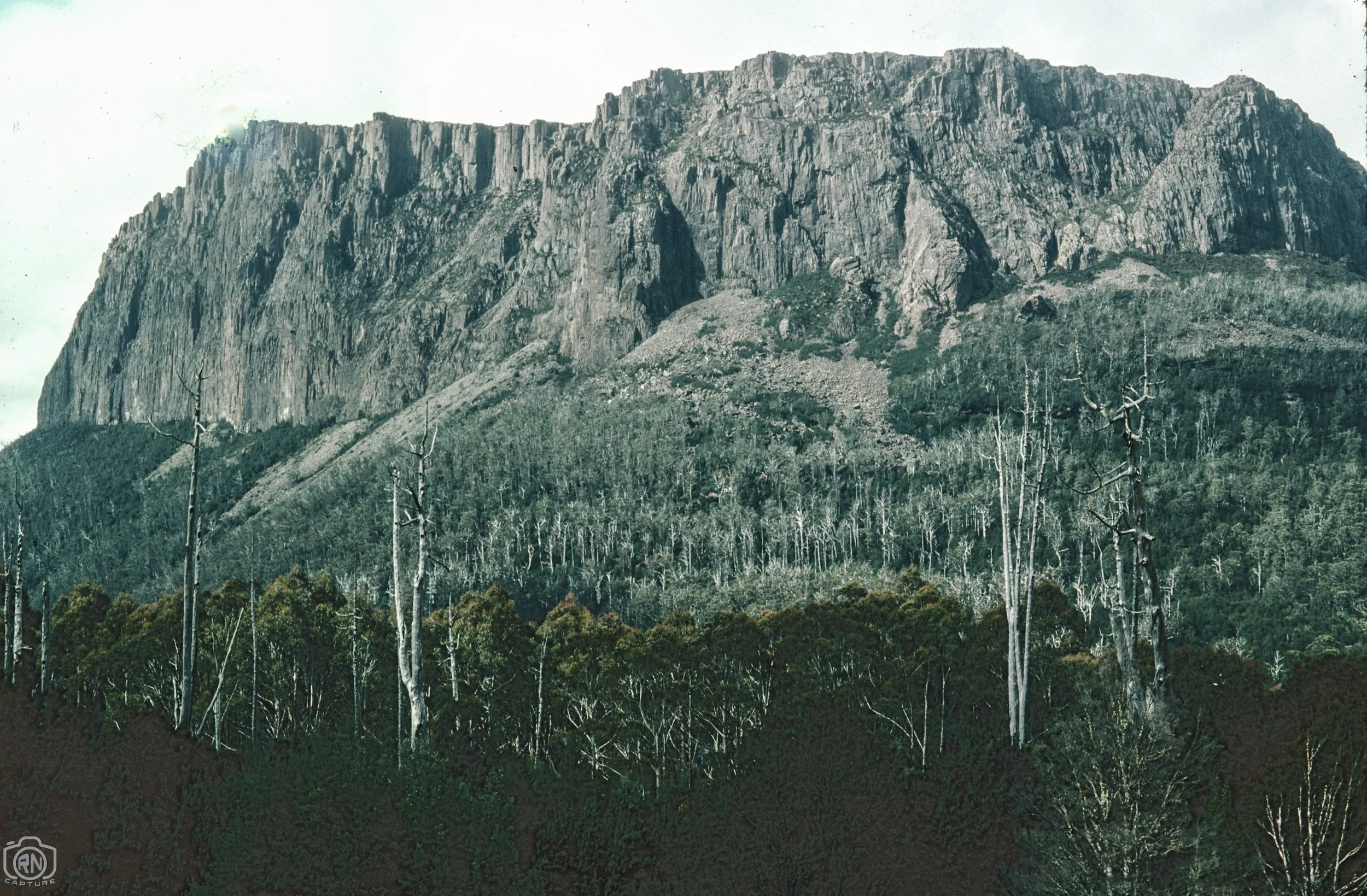 Ovland-11.jpg