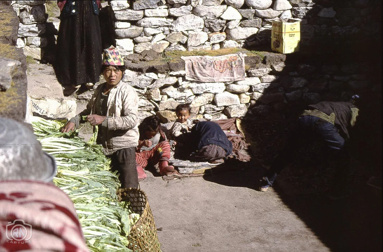 Collecting the greens