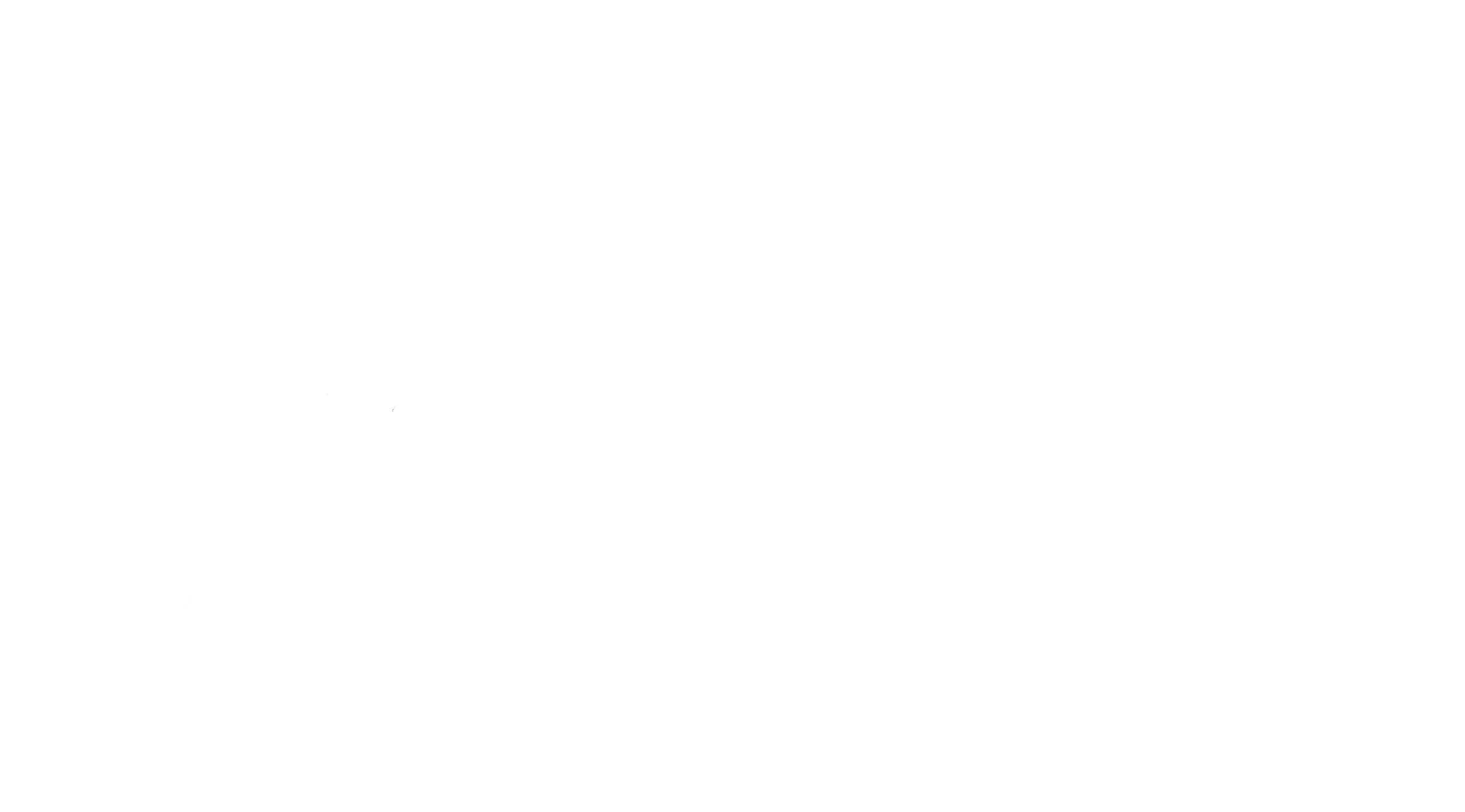 Protect Blue Logo-white.png