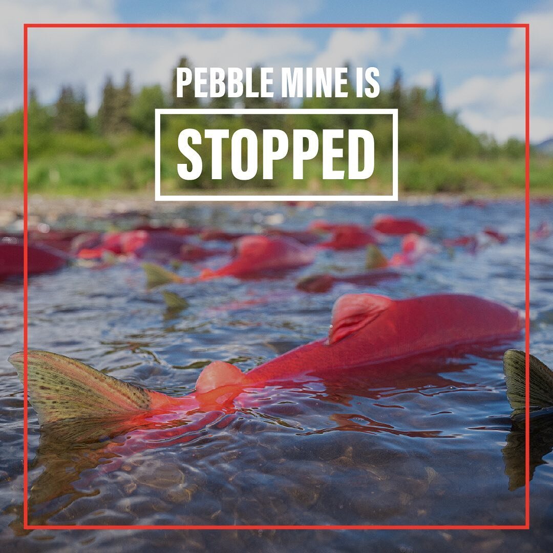 Today, the EPA stopped Pebble Mine in its tracks by solidifying the 404(c) Clean Water Act. This decision is a victory for the Bristol Bay watershed, Alaskans, and fishermen from coast to coast. Here at CFBB, we&rsquo;ve collaborated diligently with 