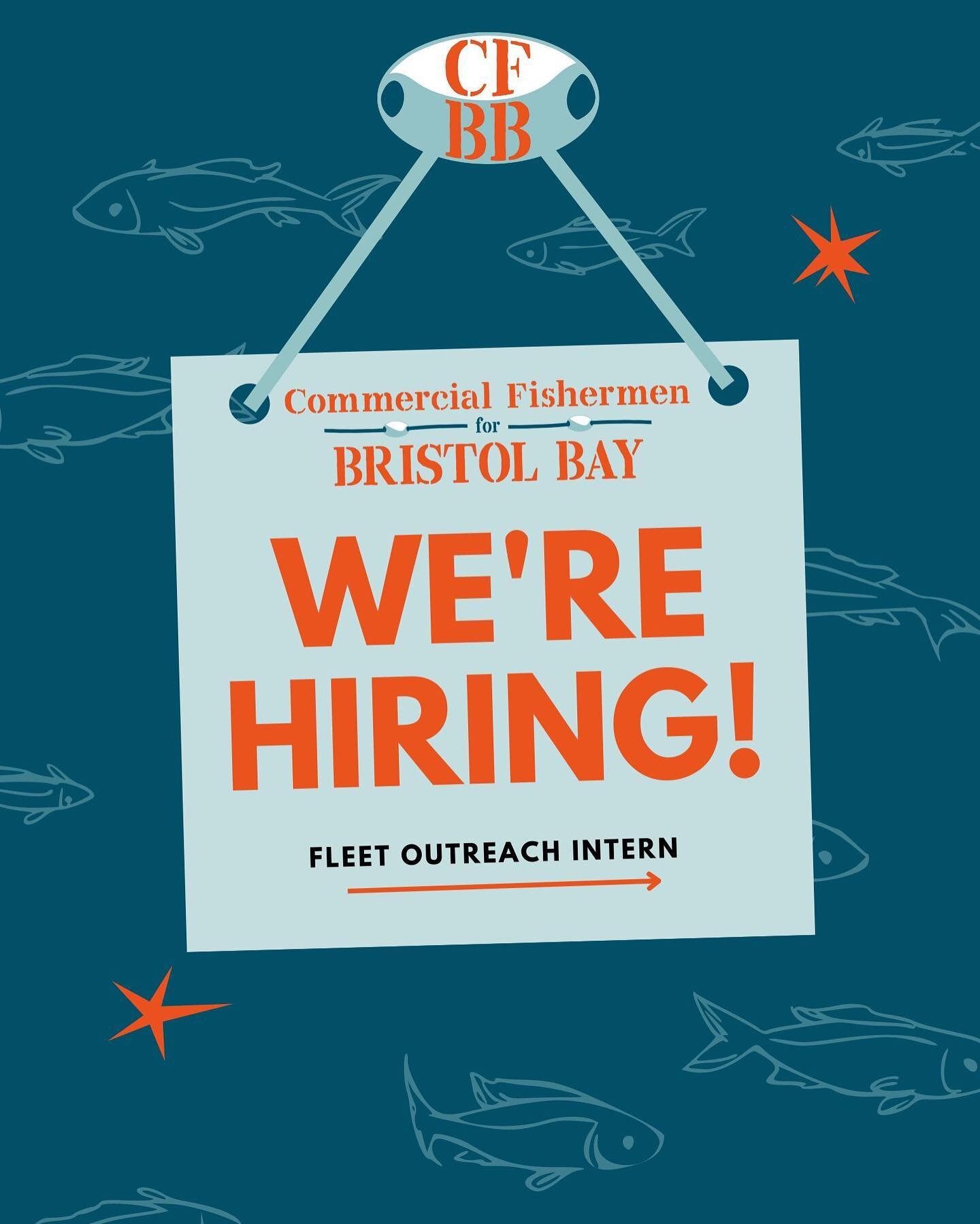 Our staff is looking for another crew member in Bristol Bay this summer to help with shore based operations! Check out our job posting. This is a BBEDC internship so applicants must be watershed/CDQ residents, at least 18 years or older. Position is 