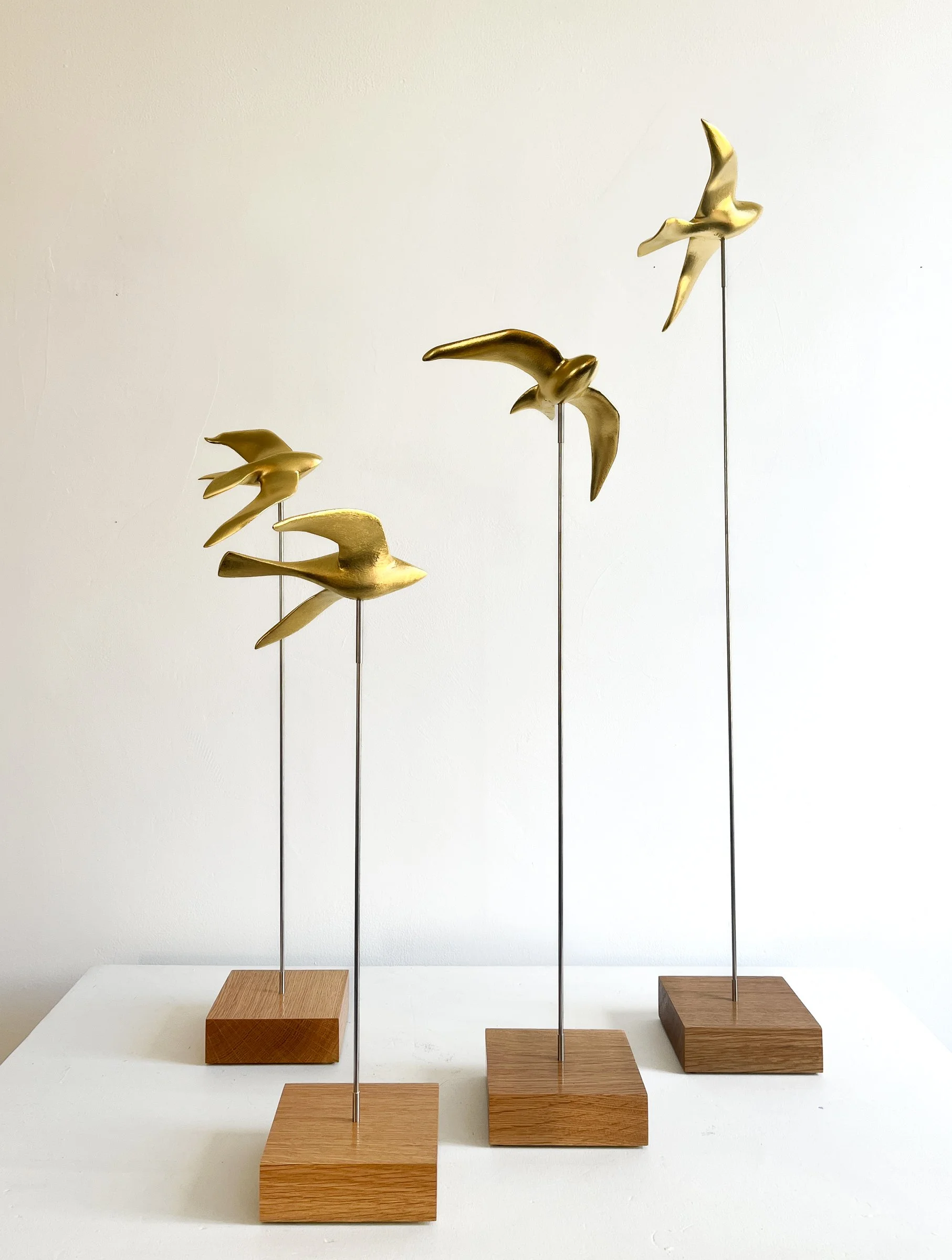 Bowdren, large birds (l-r 2,1,3,4).jpg