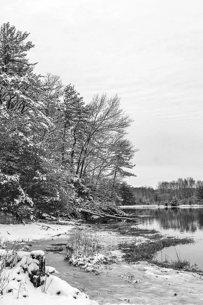 Conway_11x14_Adams Point, Durham, NH_Great Bay Winter Scene.jpg