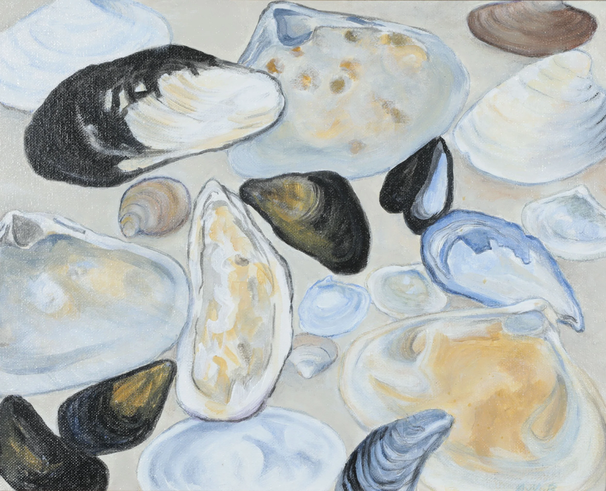 Seashells