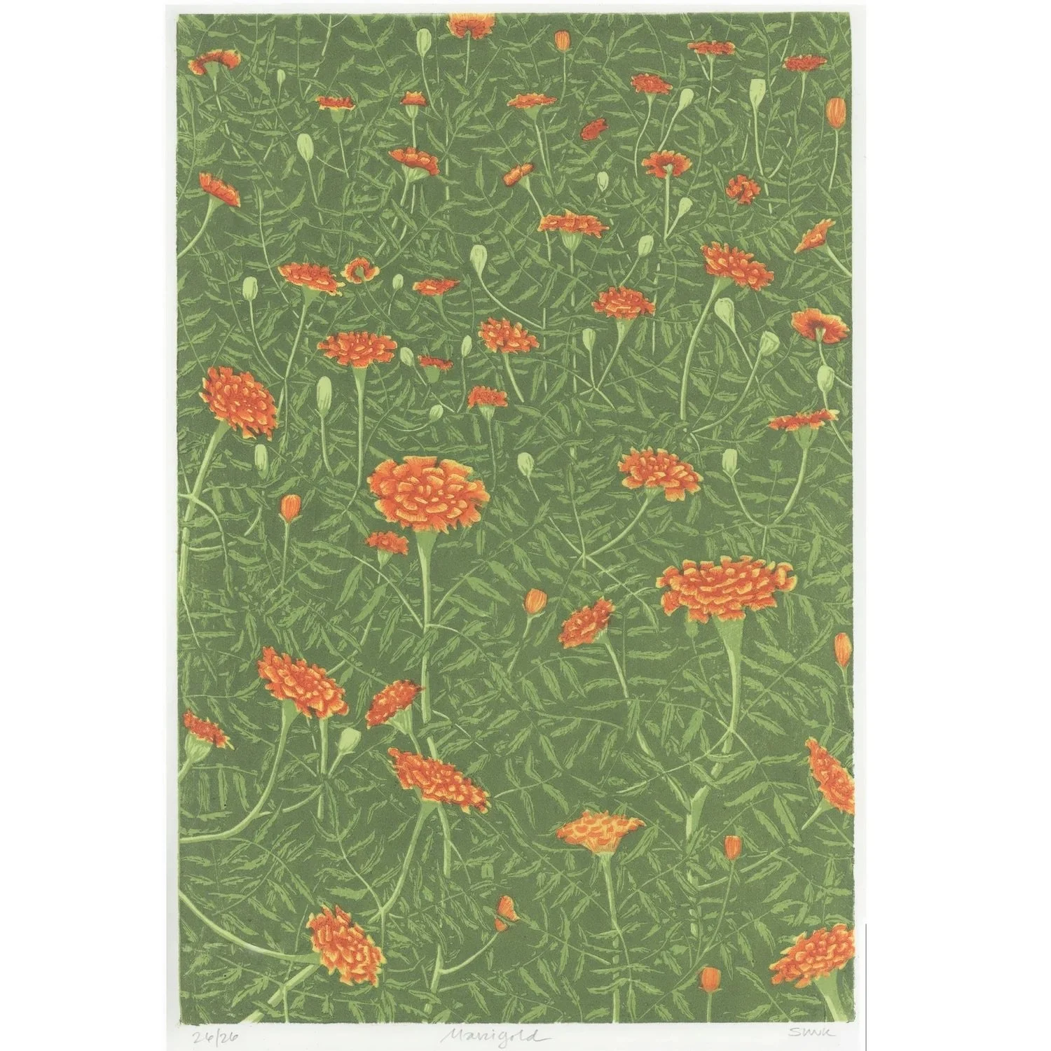 Marigold