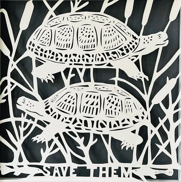 Blanding's turtle
