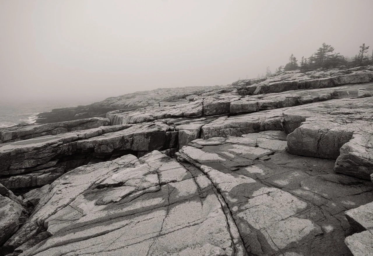 Schoodic