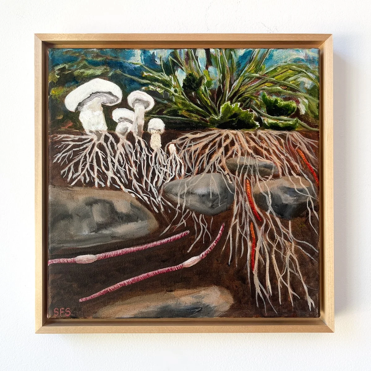 Five Worms, Five Mushrooms, Five Rocks