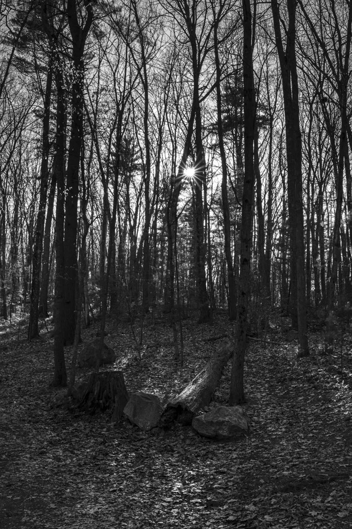 Low Winter Sun