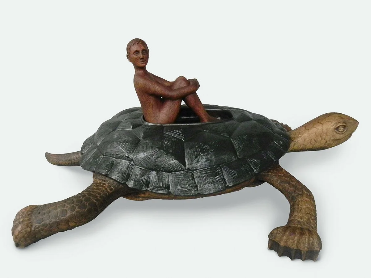 Turtle & Human