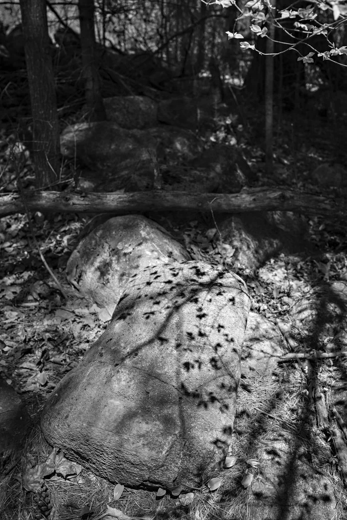 Claudia Rippee, Weston Tower, Manchest, NH