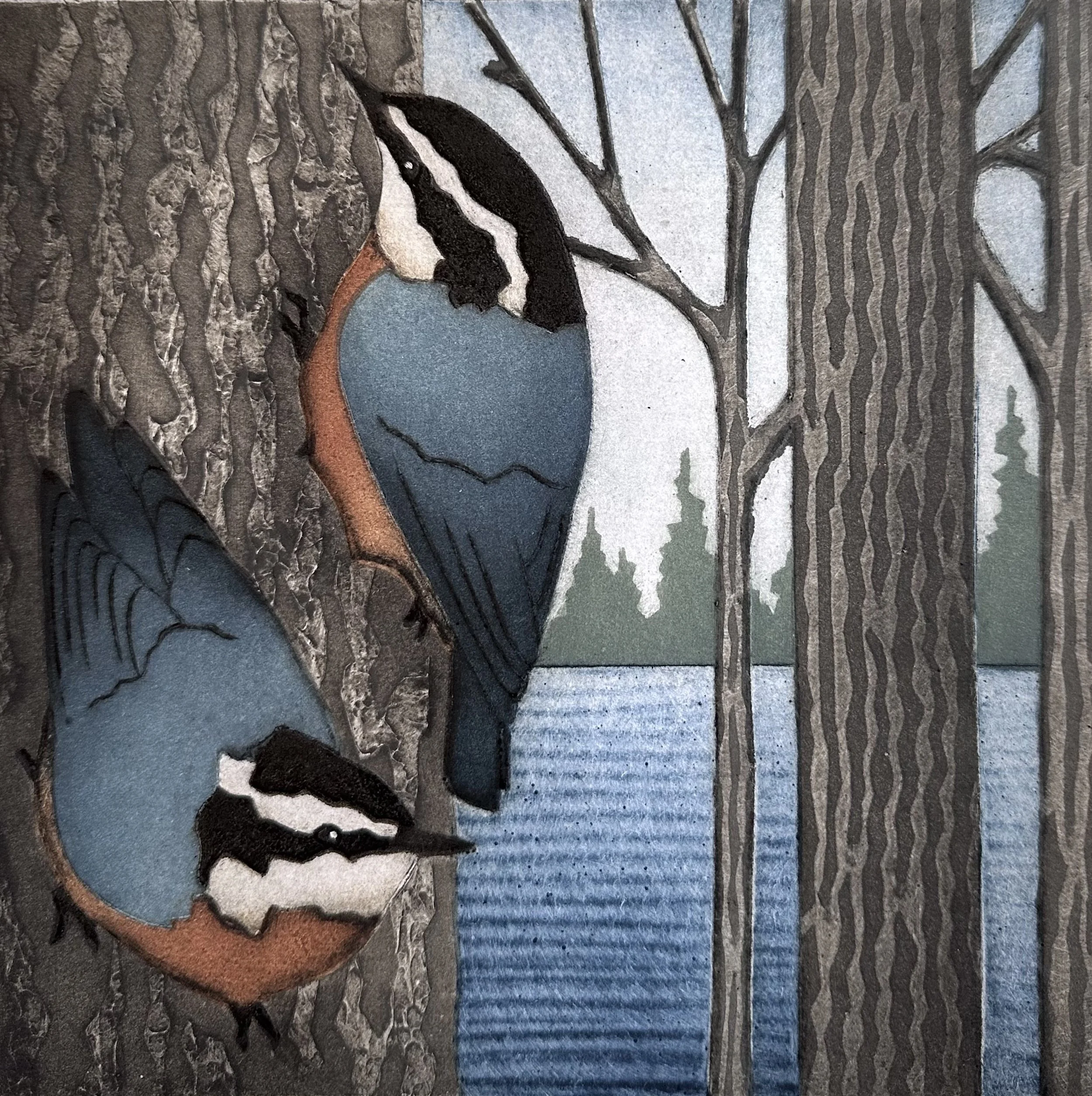 Nuthatches by the Cove