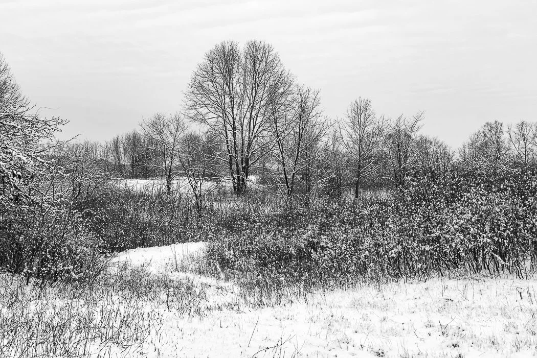 Winter Field, Adams Point, Durham, New Hampshire
