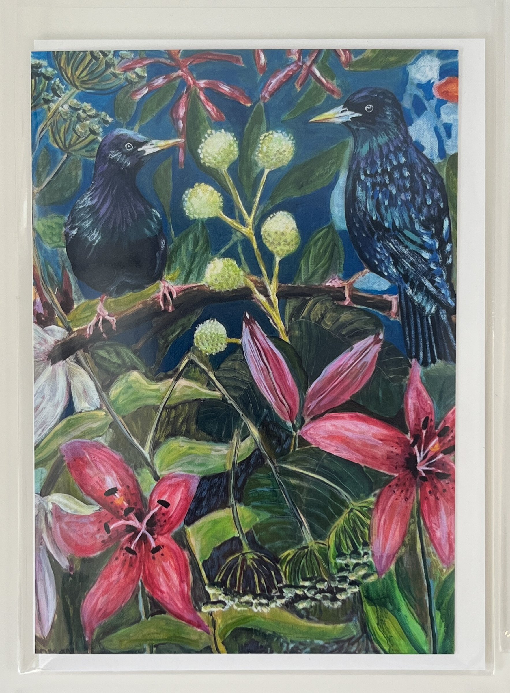 Steedman Cards-11.jpg