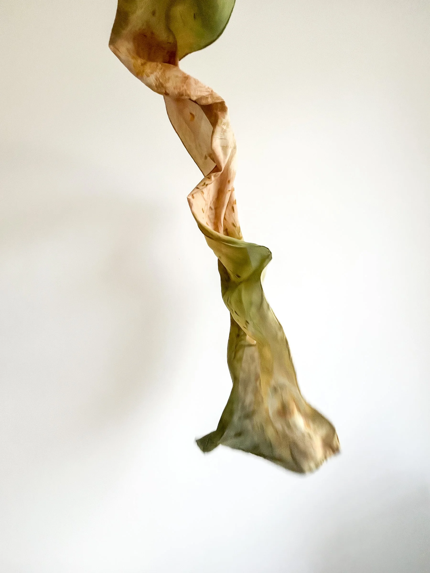 Scarf_runner 2-1.jpg