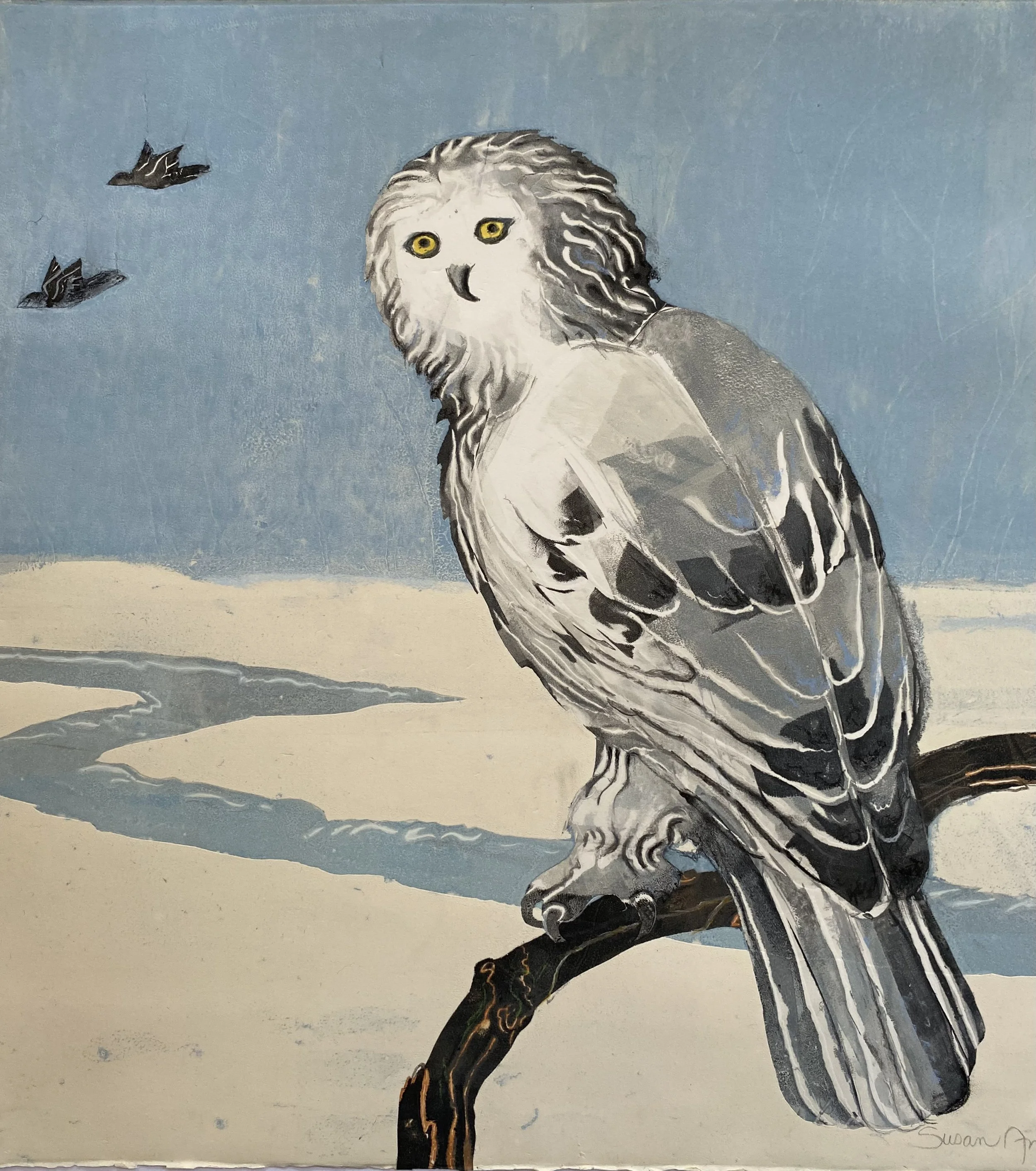 Snowy Owl