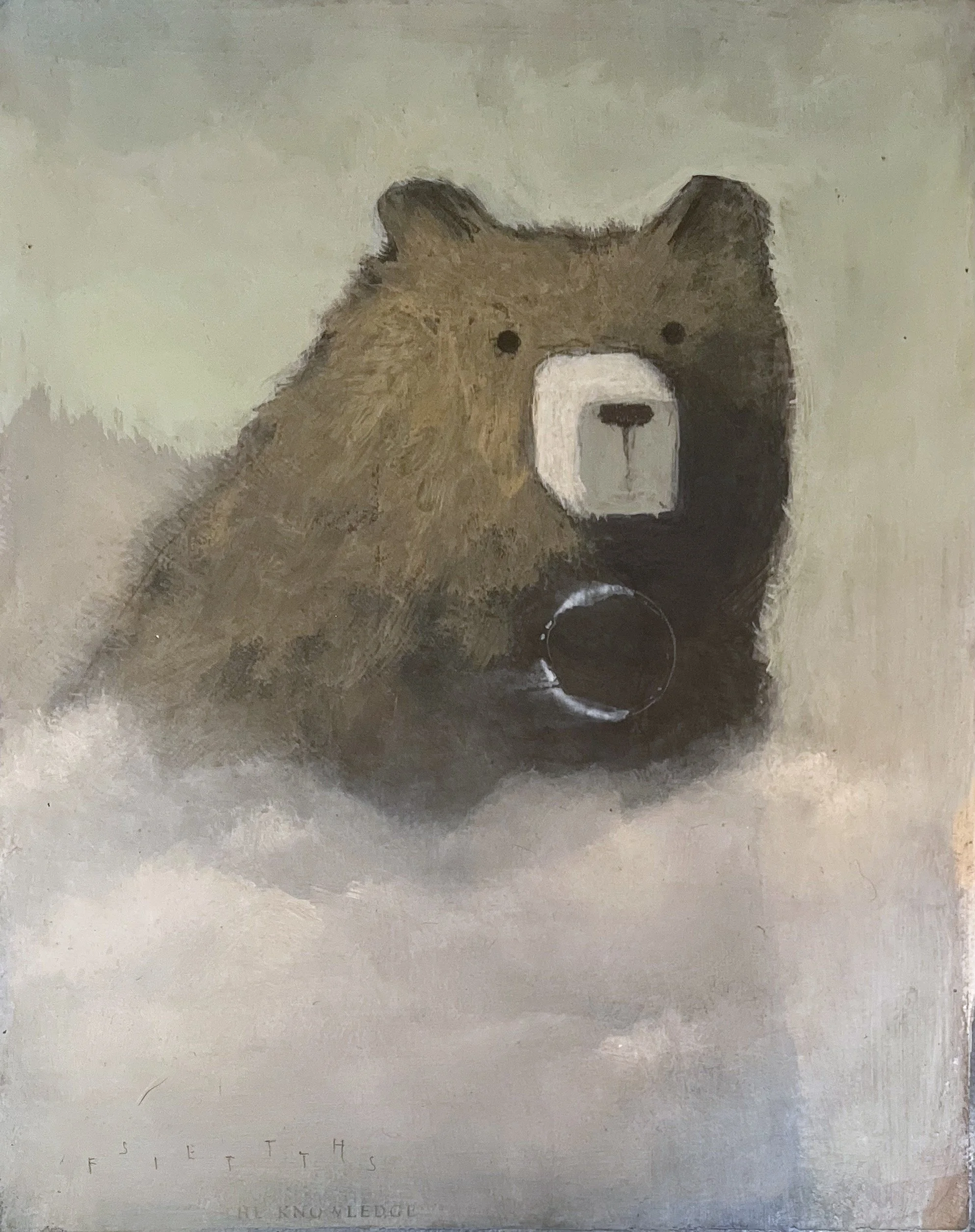 Bear Sensing Through the Mist