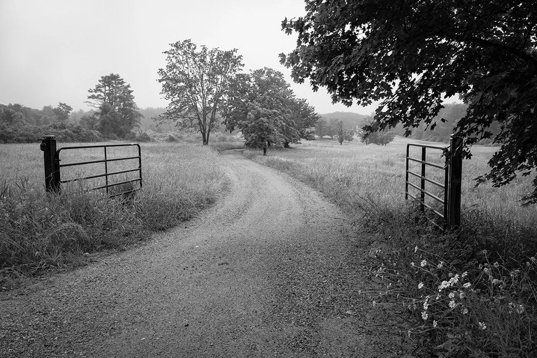 Bob Morin, Farm Gate and Daisies, York ME