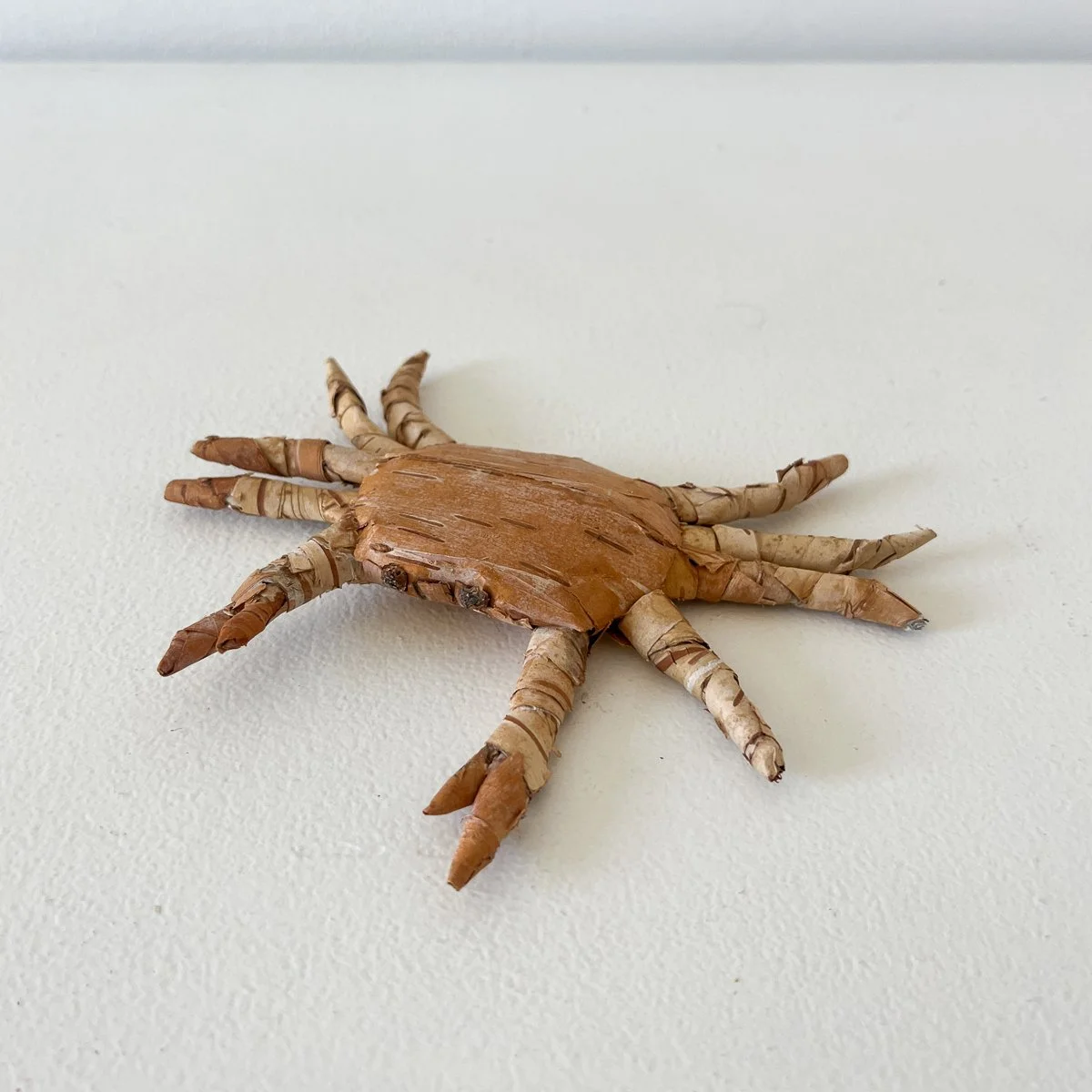 Peekytoe Crab (juvenile)