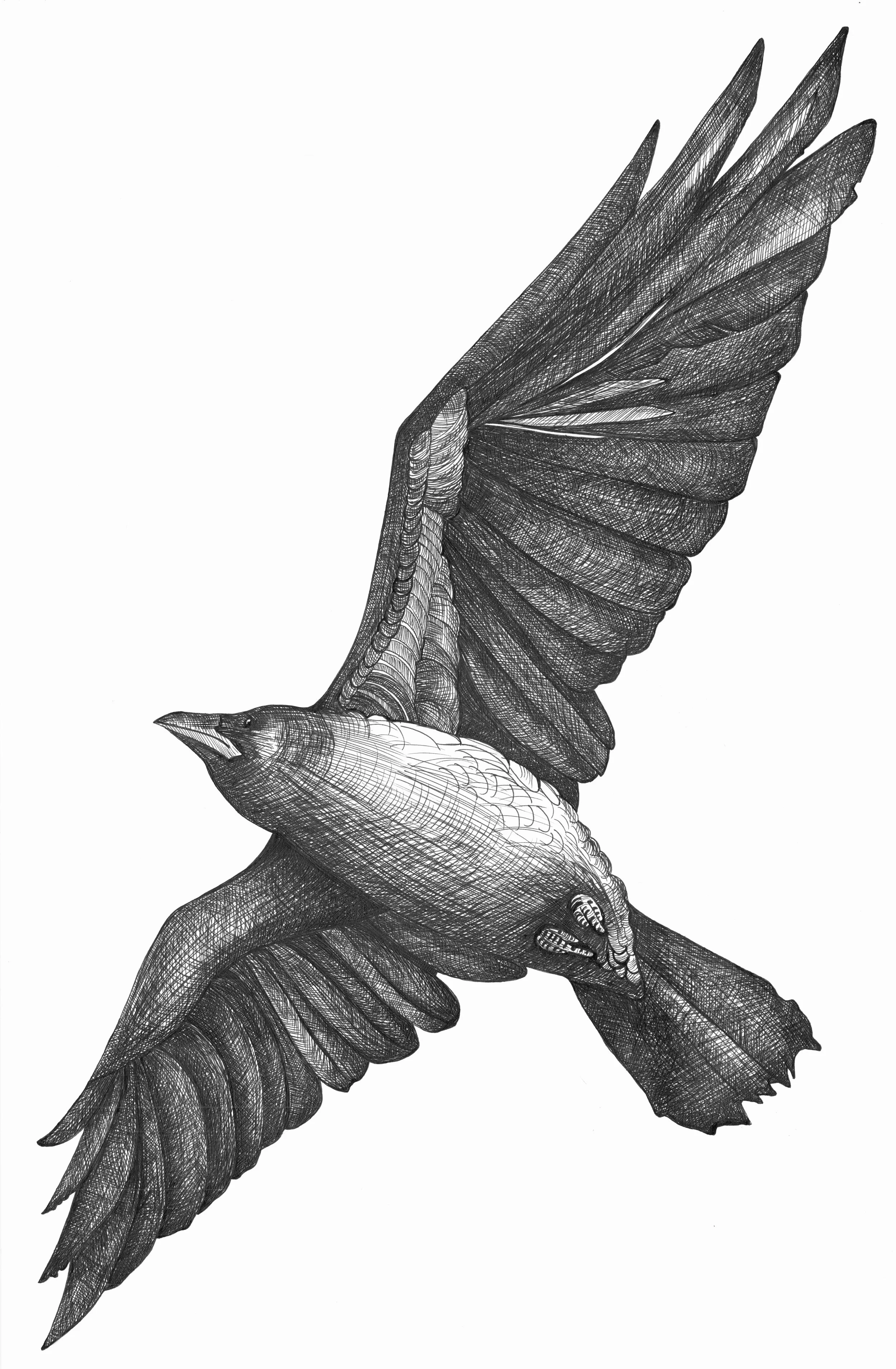 Brooke Mathews Crow.jpg