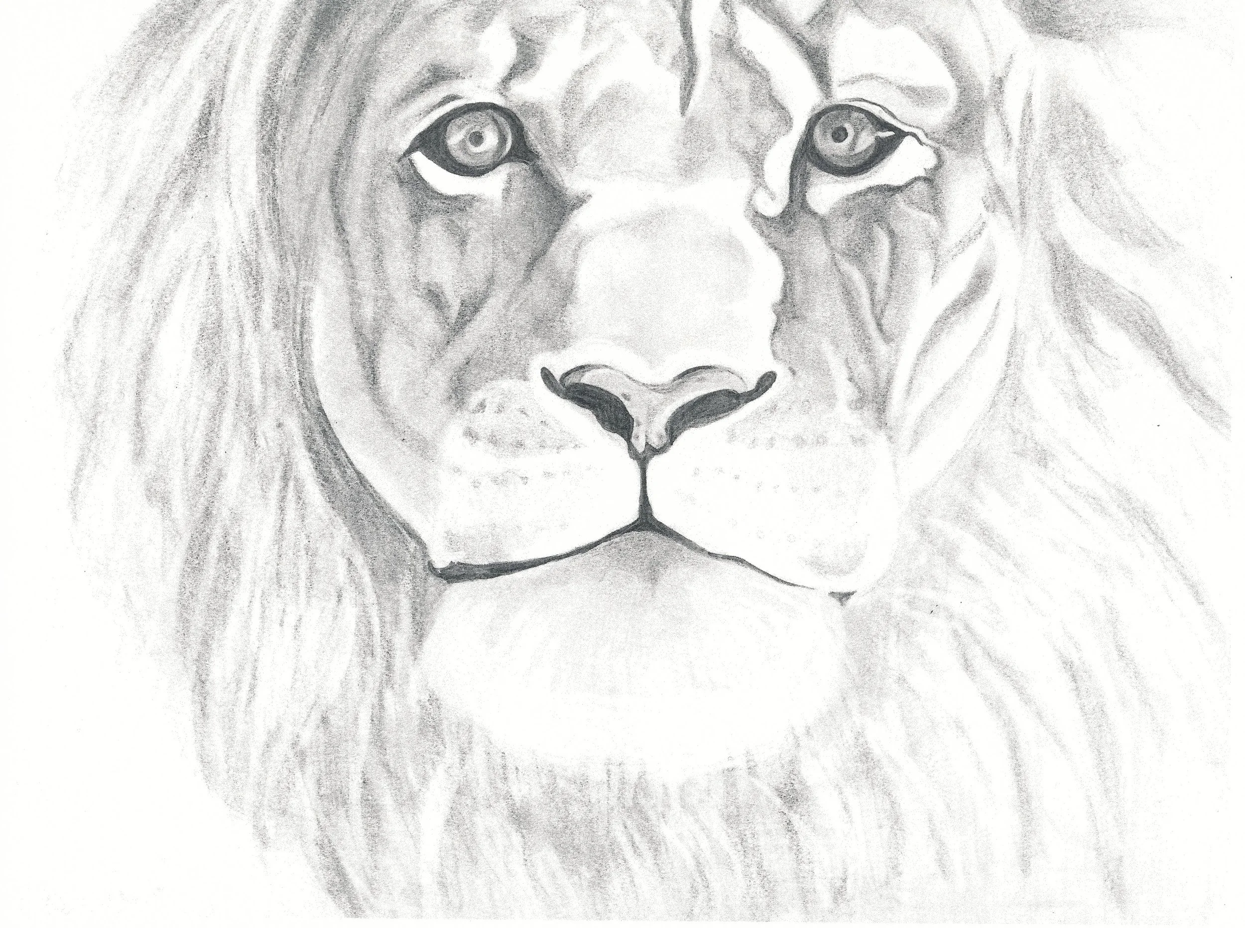 Mathews_Brooke_Lion.jpg