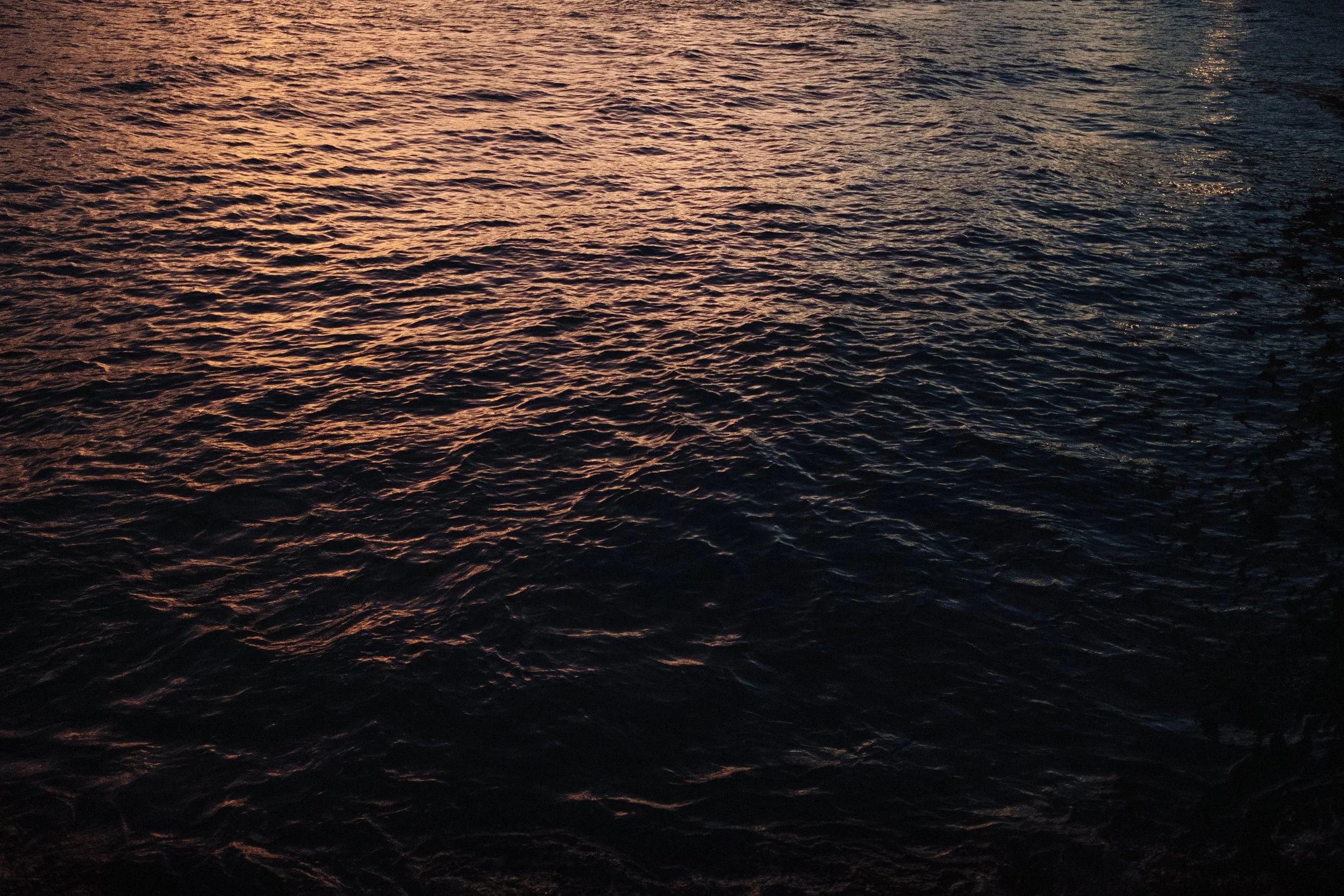 DSCF1643.jpg