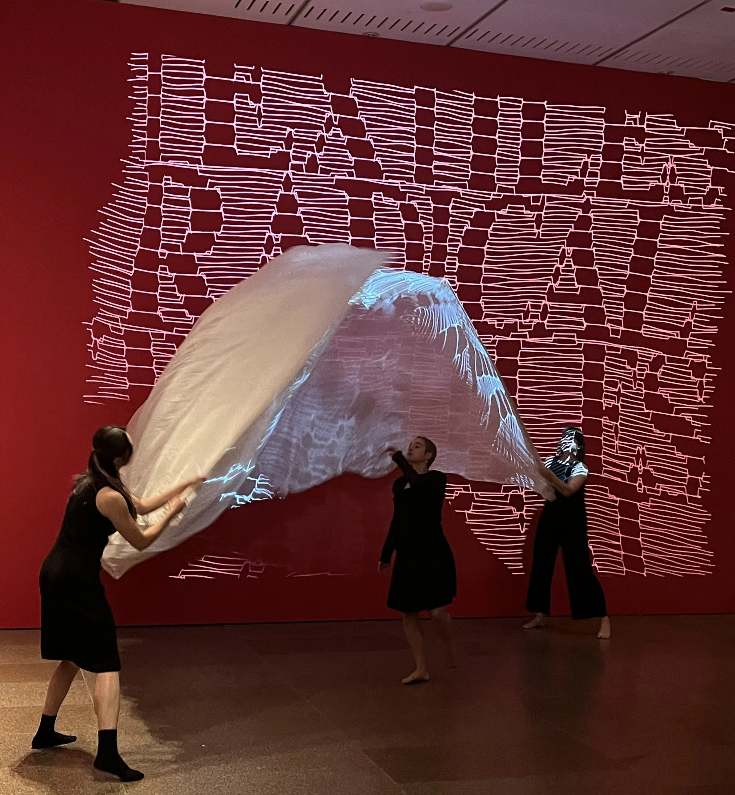 The Score #16 at Art Gallery of South Australia -AGSA, 2025. Photographer Tim Standing