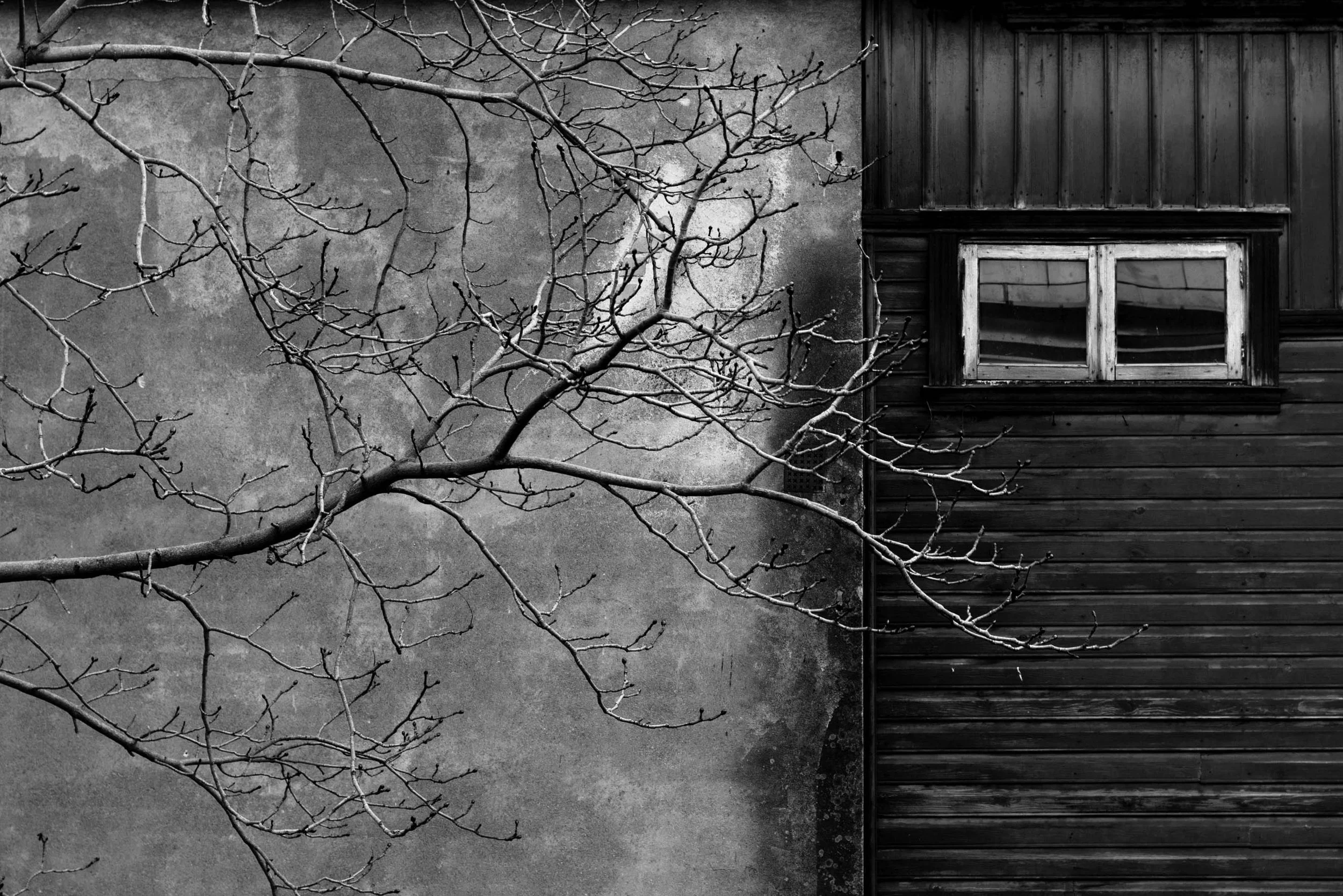 tree-stitching-2.jpg