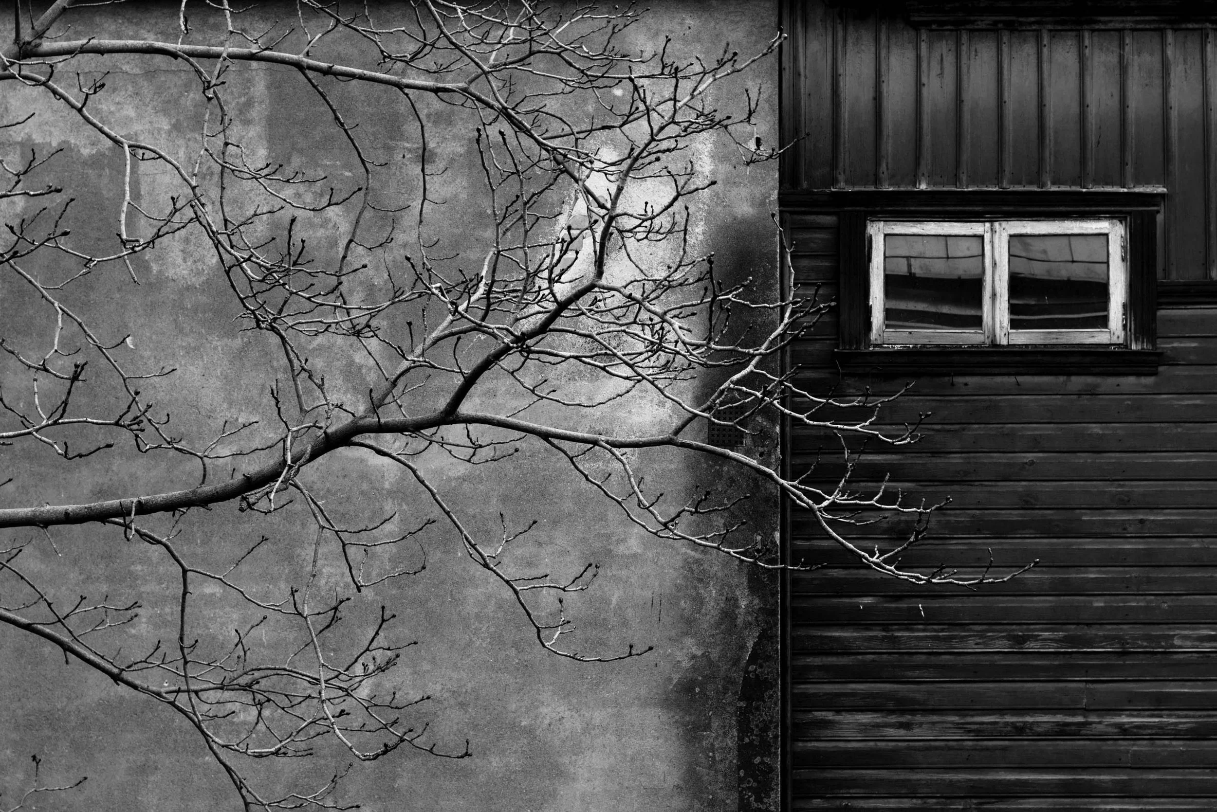 tree-stitching-1.jpg