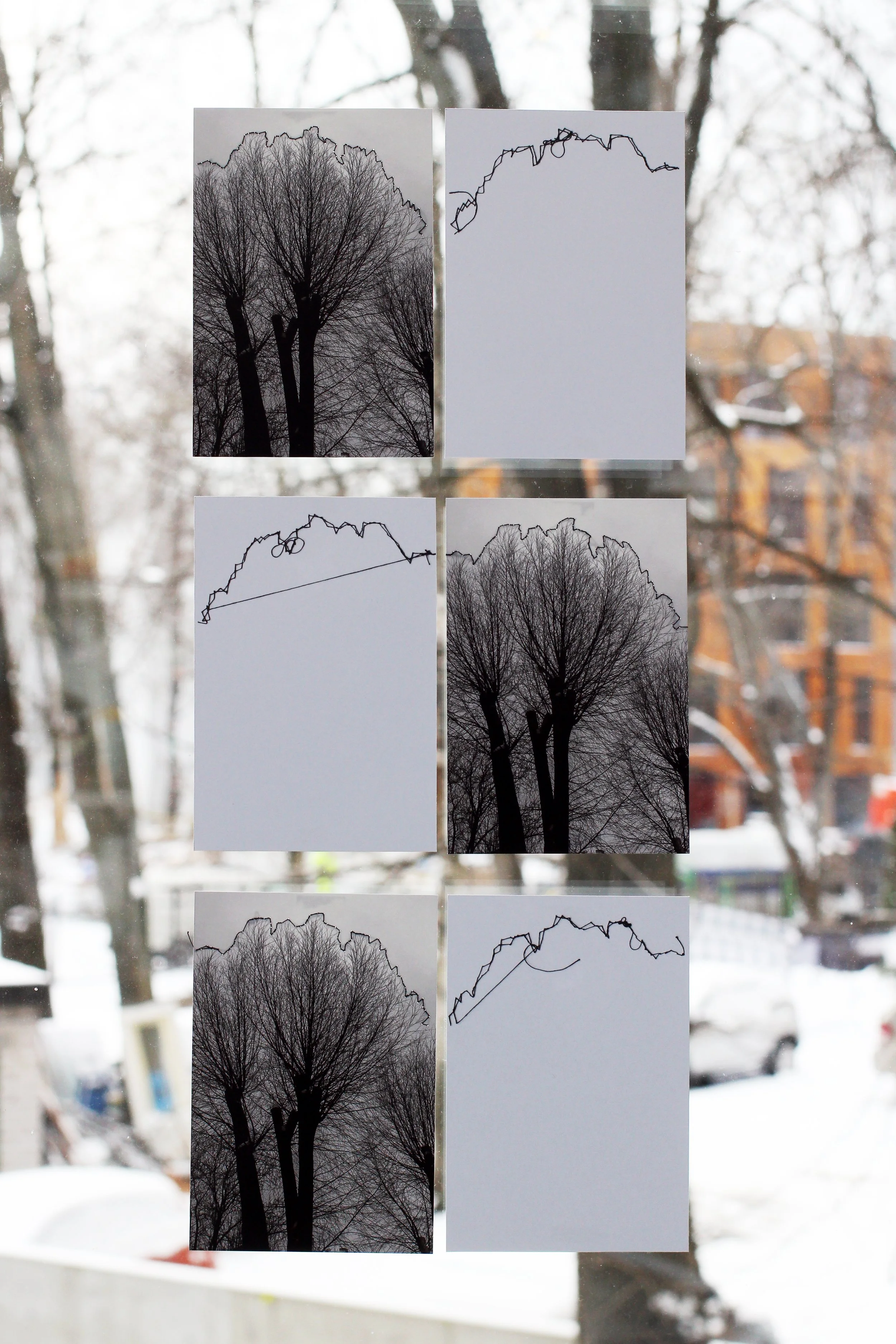 tree-stitchings-all-1.jpg