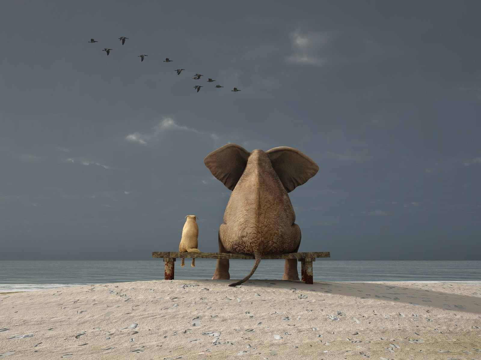 David and Goliath - Supply Chain success for SMEs