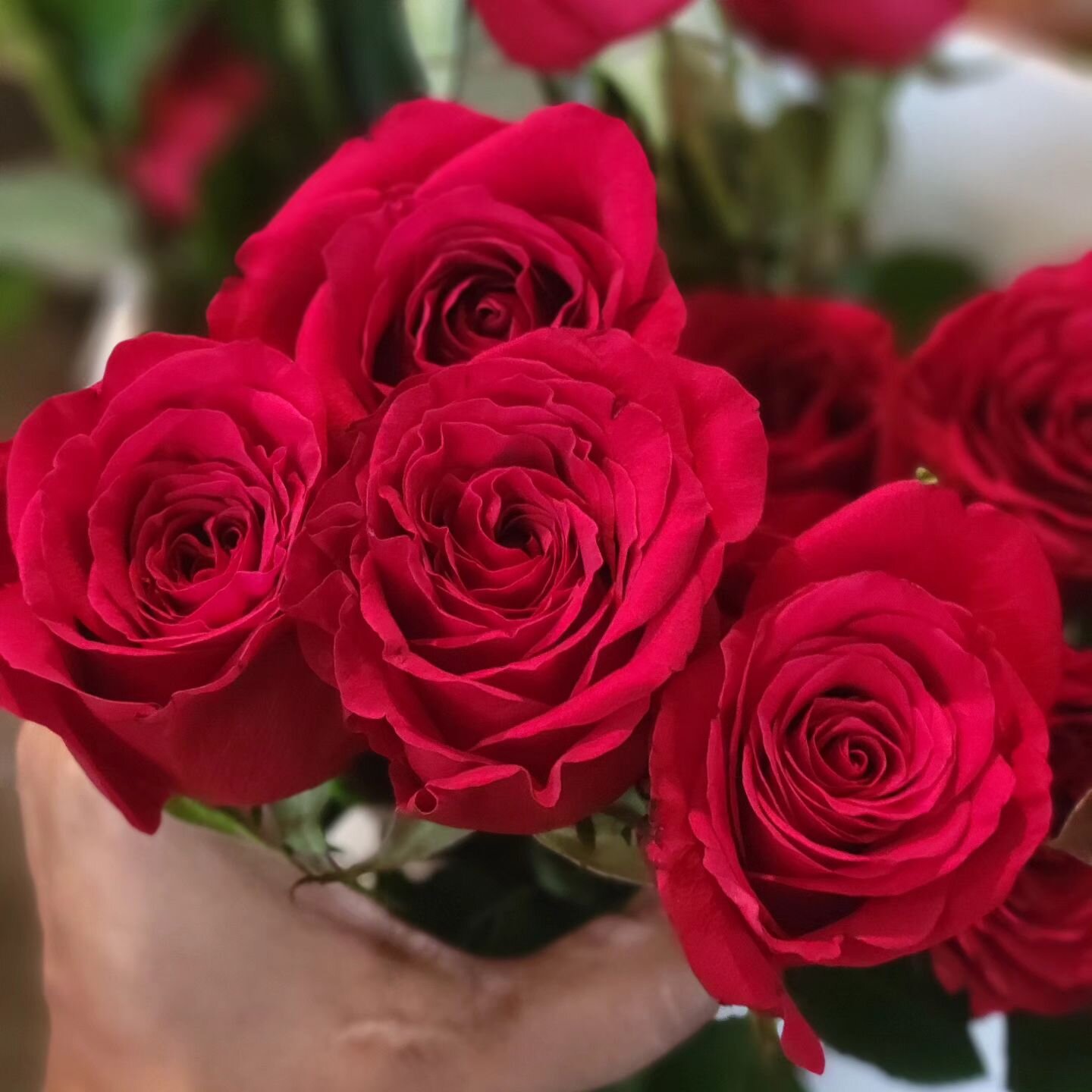 We've got two arrangements to be del8vered this afternoon. Tqo easy peasy heart arrangements, all red roses. I think we've got room for about 5 more orders between now and Vday. Let us know if we can help you.
#flowers #canbuymyselfflowers #vday #val