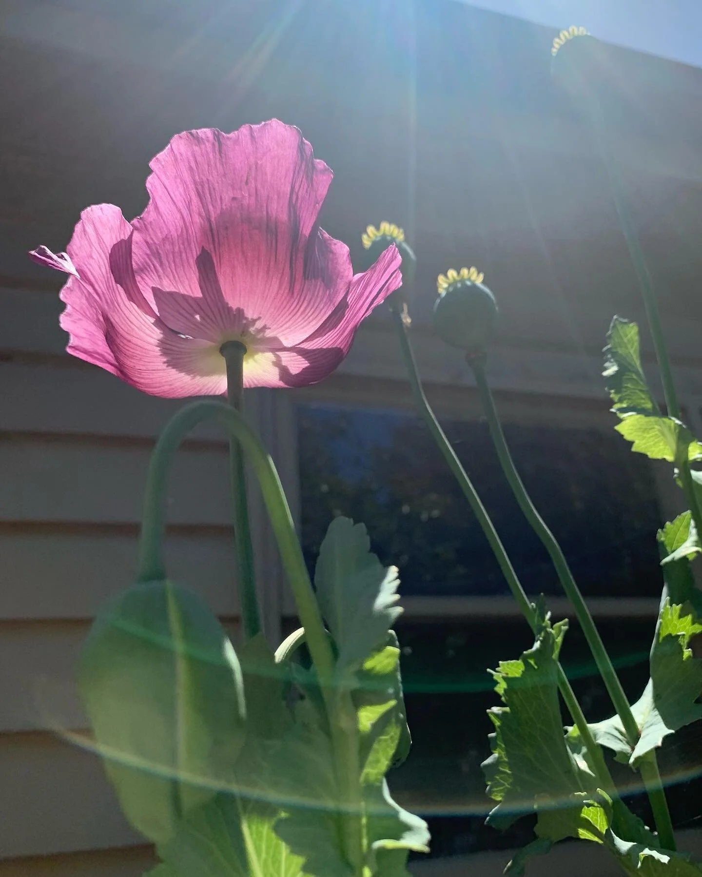 &mdash;&mdash;

Why I take a holistic approach to promoting wellbeing

I had always thought that I would end up becoming a Clinical Psychologist but a significant turning point came when I became involved in working with a local, newly arrived refuge