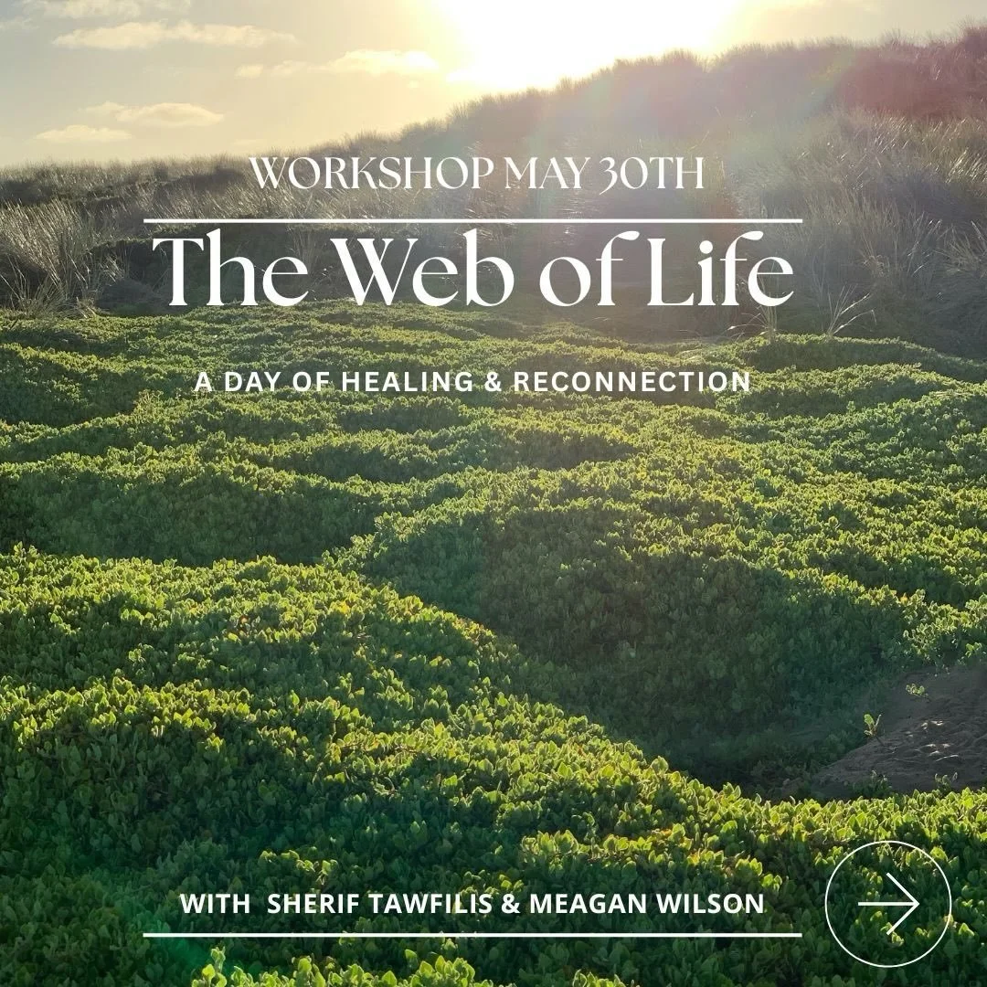 I am excited to share this full day workshop in Sassafras along with Dr Sherif Tawfilis, an incredible shamanic healer. 

It will be a day of deep rest, healing and reconnection. 

The event is intentionally intimate, limited to 8 people. 

It is sur