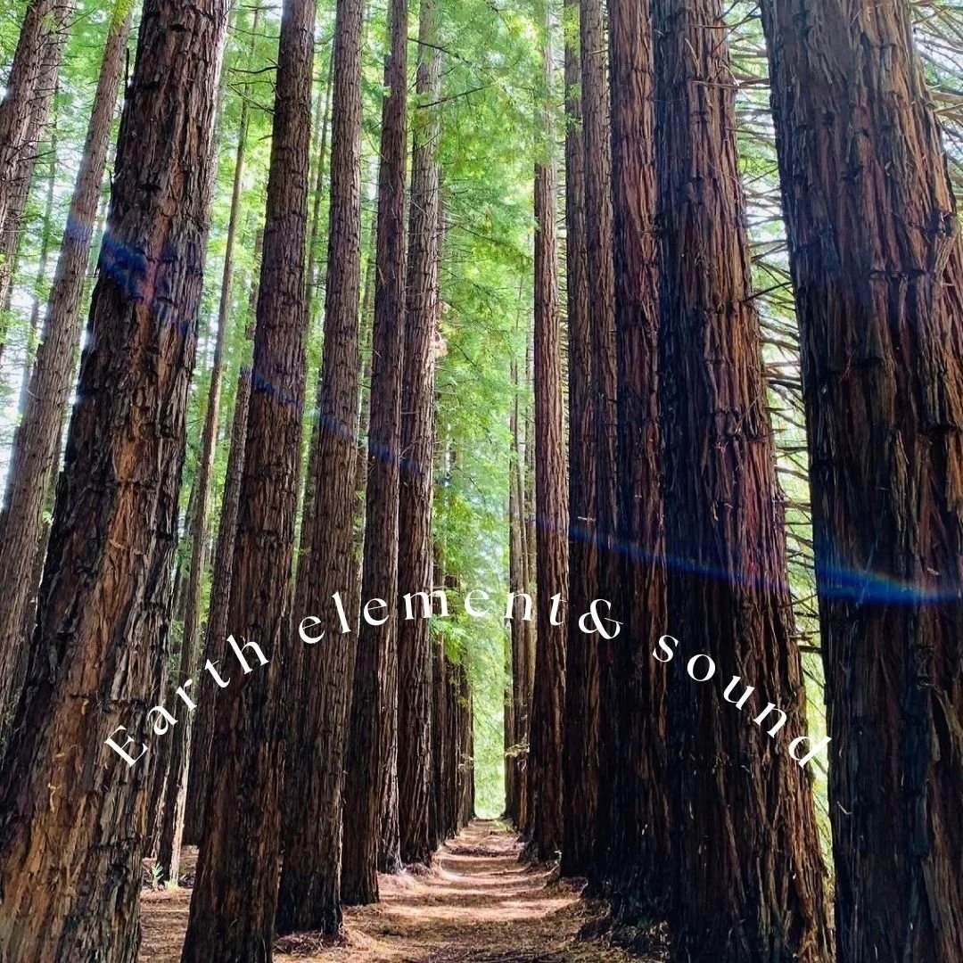 This week in our Healing Meditation with Sound class, we continued exploring the theme of joy, and gently turned toward its relationship with fear.

We worked with the earth element to support the relaxation response&mdash;helping the body feel stead