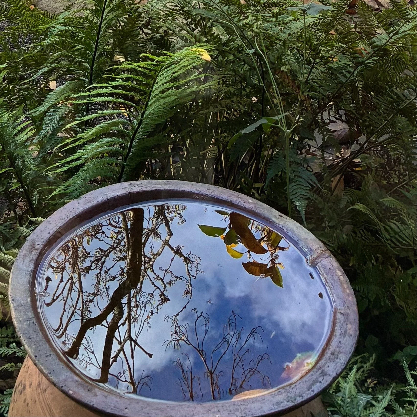 On the weekend I co-facilitated a day retreat themed&mdash; The Web of Life, &mdash;with shamanic healer Dr Sherif Tawfilis. 
&nbsp;
A wonderful group of people joined us to explore the theme of interconnectedness from both Andean shamanism and Buddh