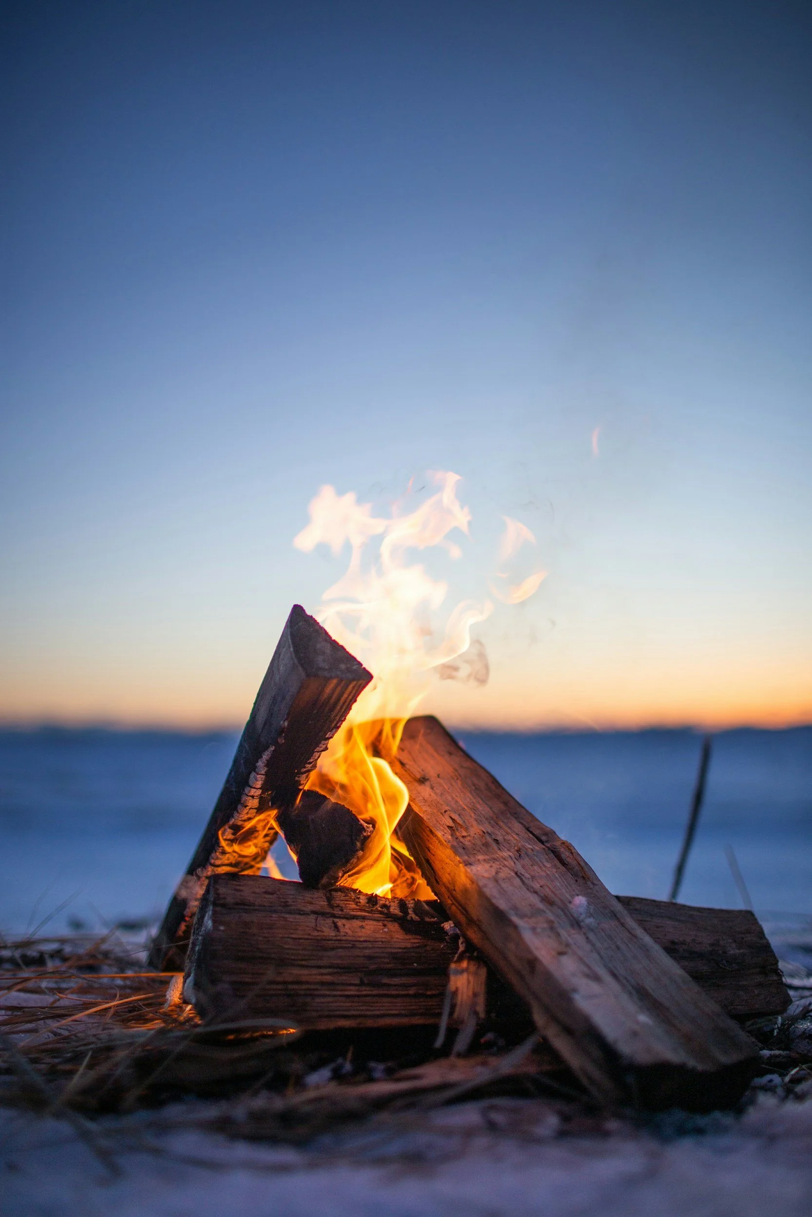 A campfire with logs burning, set against a dusk sky with a faint horizon line and a distant body of water.