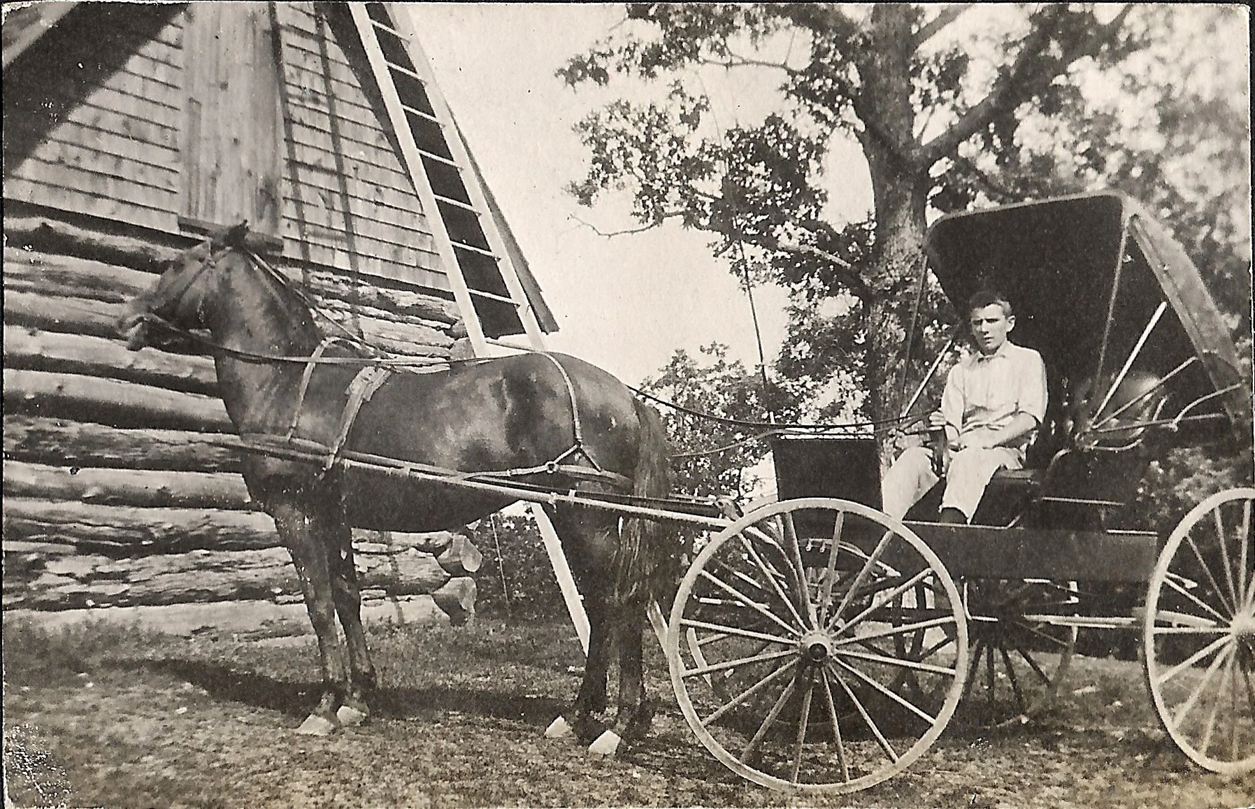 1900s - Camper in a horse buggy in front of the Headquarters Building