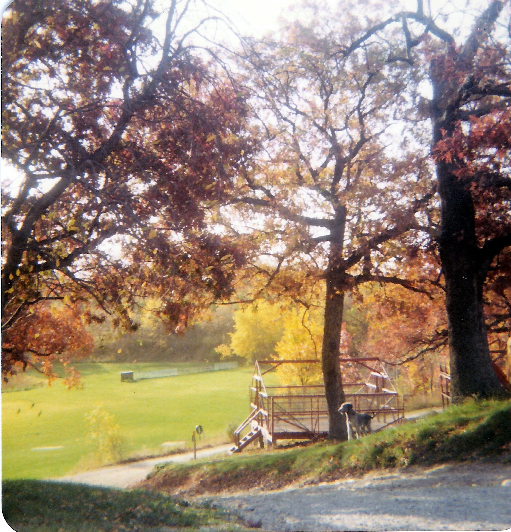 1970s - Fall at camp