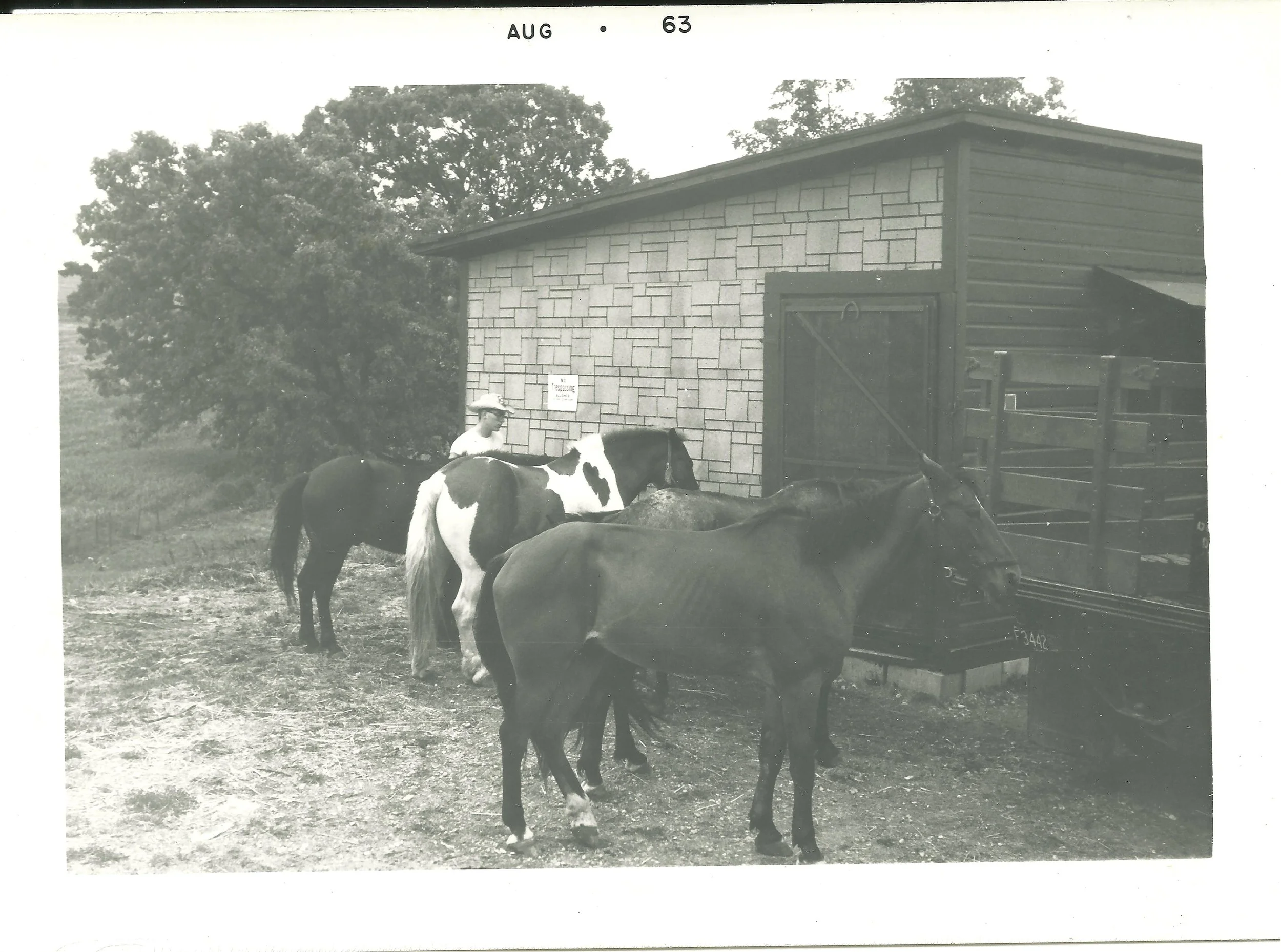 August 1963 - Horse Stables