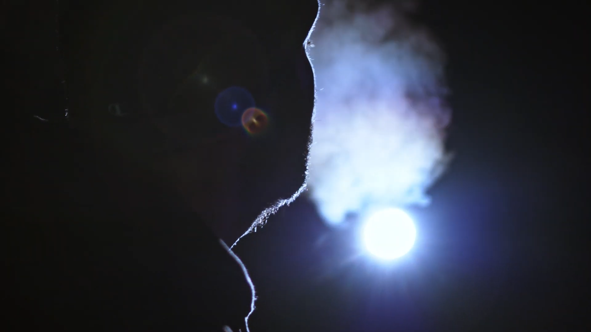 The Snake & The Bear