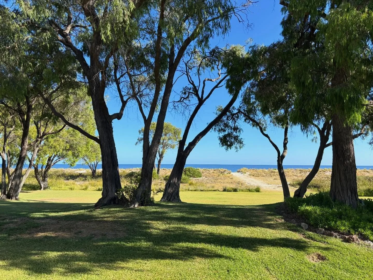 My magical place really is showing off today! Hope your day looks as glorious as mine!